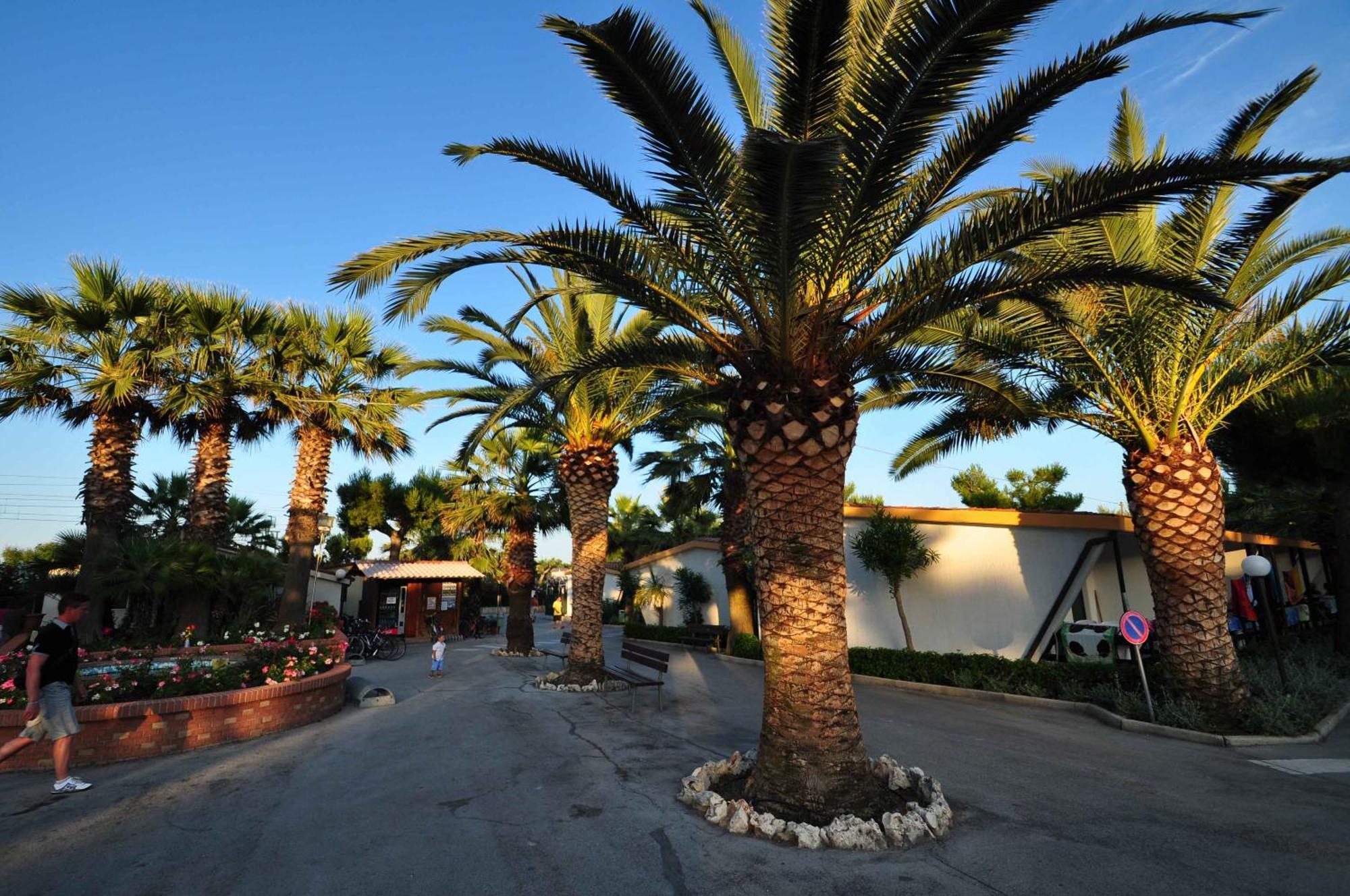 Camping Villaggio Calypso Cupra Marittima Zewnętrze zdjęcie